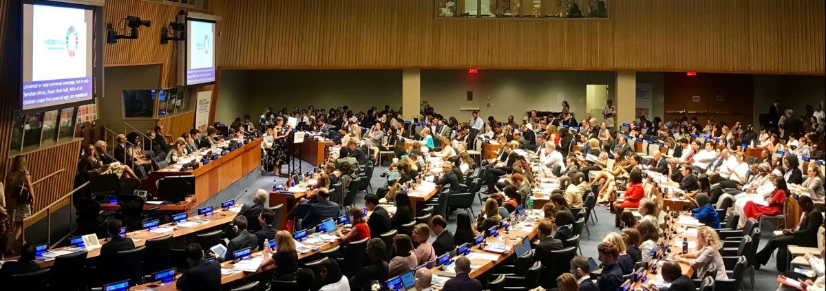 SDG 16 under review at HLPF 2019